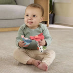 Fisher Price Κουδουνίστρα Λουλουδάκι-Μελισσούλα (HYR56) Για 3+ Μηνών