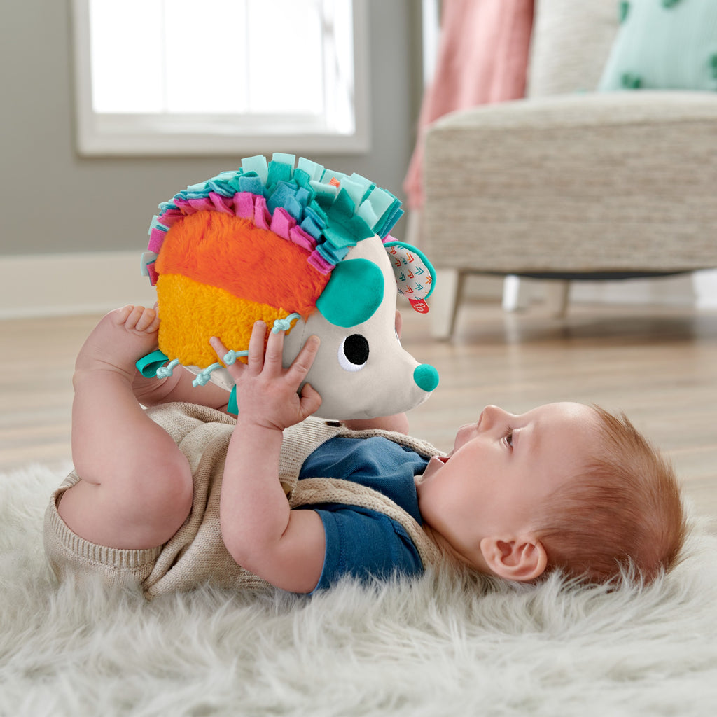 Fisher Price Μαλακό Σκαντζοχοιράκι-Ουράνιο Τόξο (HBP42)