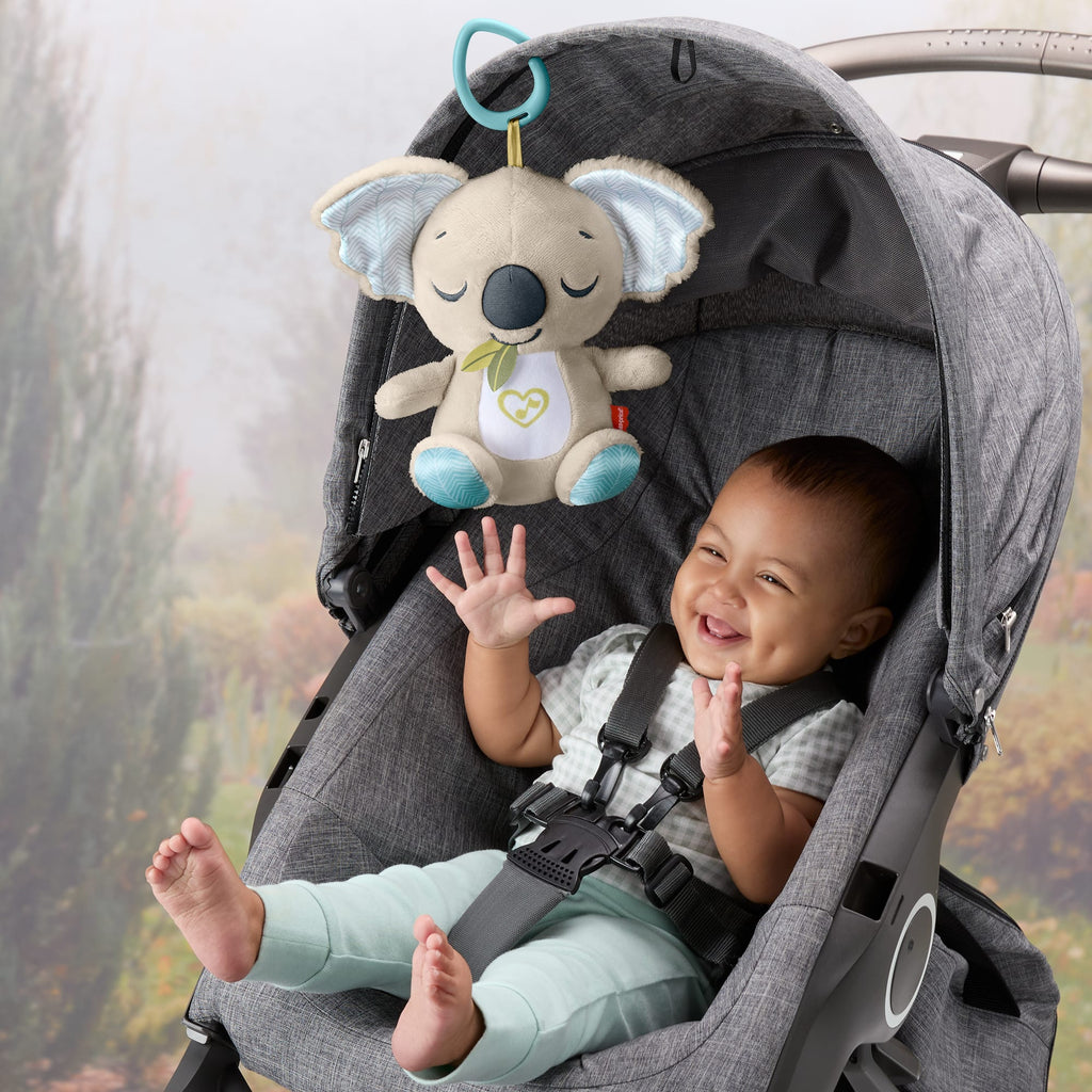 Fisher Price Μαλακό Κοάλα Με Μουσική (JBD65) Για 0+