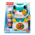 Fisher Price Βάτραχος Παιχνίδι Με Μπαλίτσες Ήχους Και Φώτα (JLB96)