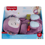 Fisher Price Μαϊμουδάκι Αγκαλιάς Με Κίνηση Αναπνοής & Μουσική (JLH41) Για 0+ Ετών