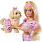 Barbie® Κούκλα και Αξεσουάρ (JFP36)